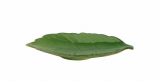 Блюдо-листок 22х12,8см (кр6) зелен. керамика 